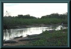 Brasilien_2013_08640