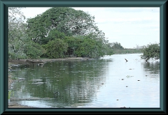 Brasilien_2013_08644