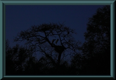 Brasilien_2013_09111