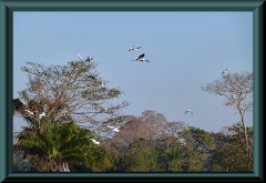 Brasilien_2013_09116