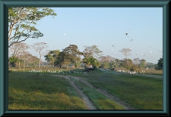Brasilien_2013_09117