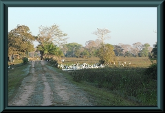 Brasilien_2013_09118