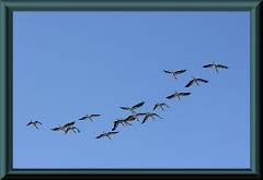 Brasilien_2013_09222