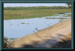 Brasilien_2013_09315