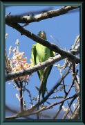 Brasilien_2013_09329