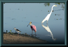 Brasilien_2013_09337