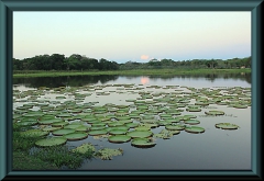Rio Sao Lorenço bei Porto Jofré.