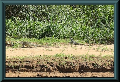 Brasilien_2013_10214