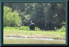 Brasilien_2013_10225