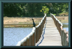Brasilien_2013_10313