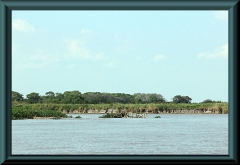 Brasilien_2013_10402