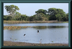 Rio Sao Lorenço