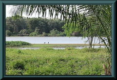 Brasilien_2013_11121