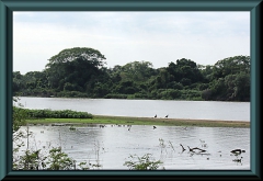 Brasilien_2013_11122