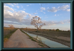 Brasilien_2013_12101