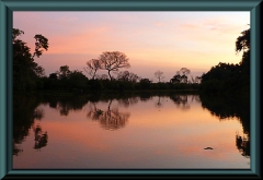 Rio Claro