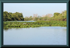 Rio Claro