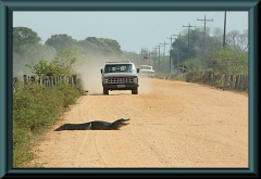 Brasilien_2013_15113