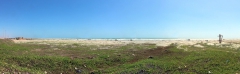 Atlantikküste nahe Parnaíba