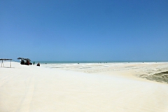 06403