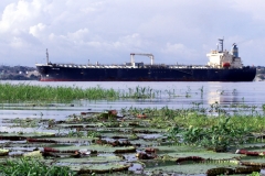 Am Lago do Catalao