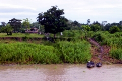 Am Rio Solimões