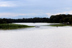 Rio Solimões