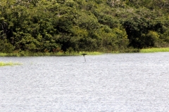 Lago Aruã