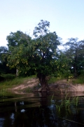 brasilien_2017_04521