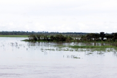 Am Rio Solimões