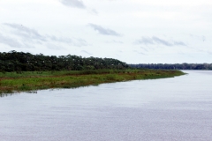 Am Rio Solimões