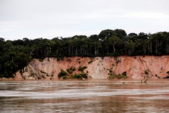 Rio Solimões