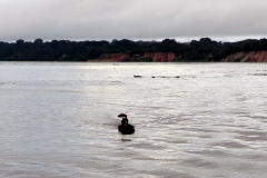 Rio Solimões mit dem Regenschirm gegen die Sintflut