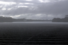 Rio Solimões