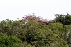 brasilien_2017_06202