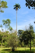 brasilien-2017-2-01114