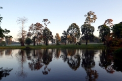 Lago Janauaca