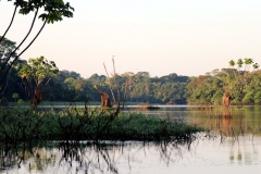 Lago Janauaca