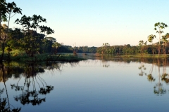 Lago Janauaca