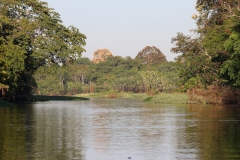 Lago Janauaca