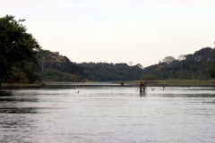 Lago Janauaca