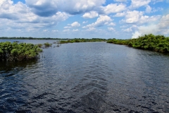 Lago Janauacá