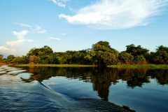 Lago Janauacá