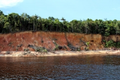 Ufer des unteren Rio Negro