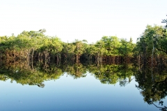 Igarapé Cachoeira