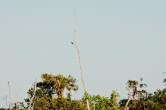 Igarapé Cachoeira