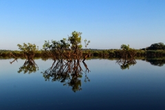 Rio Cuieiras