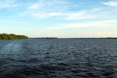 Am Rio Negro