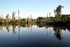 brasilien-2017-2-07221