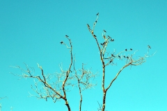 brasilien-2017-2-07224